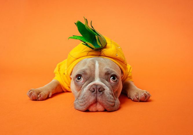 THIS-karsten-winegeart-ewfHXBcuFA0-unsplash THIS-karsten-winegeart-ewfHXBcuFA0-unsplash